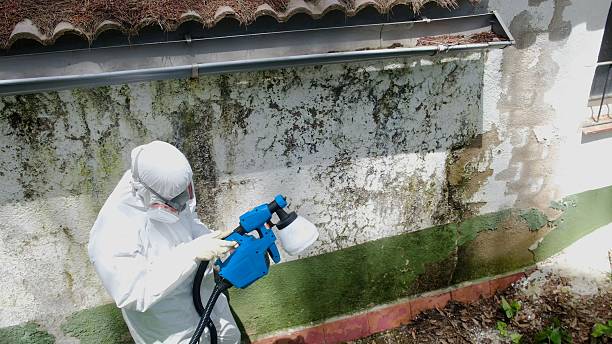 Trusted Commercial Mold Remediation service in Lancaster, KY - Cheap Mold Removal